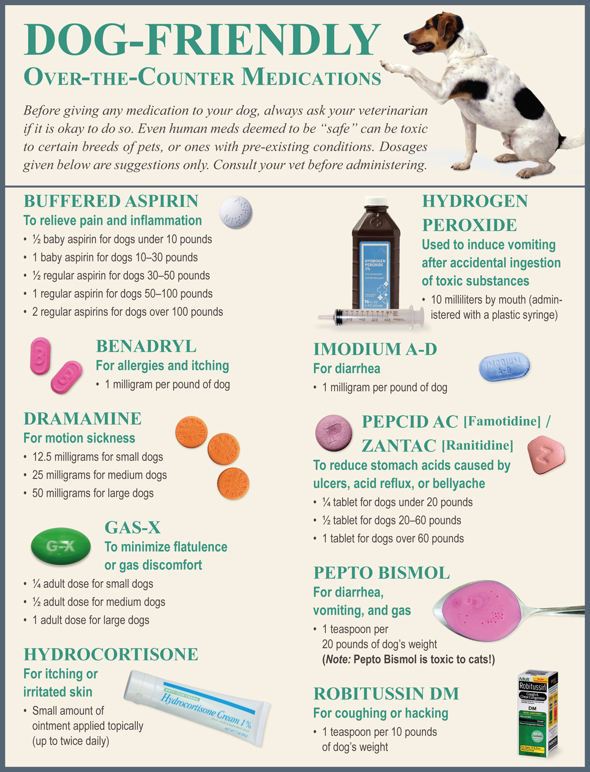 meds you can give a dog