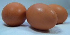 Farm-fresh Eggs