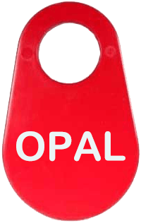 Goat name tag reading Opal