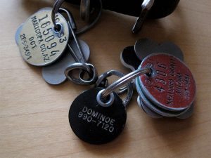 Pet tags on collar clip rings